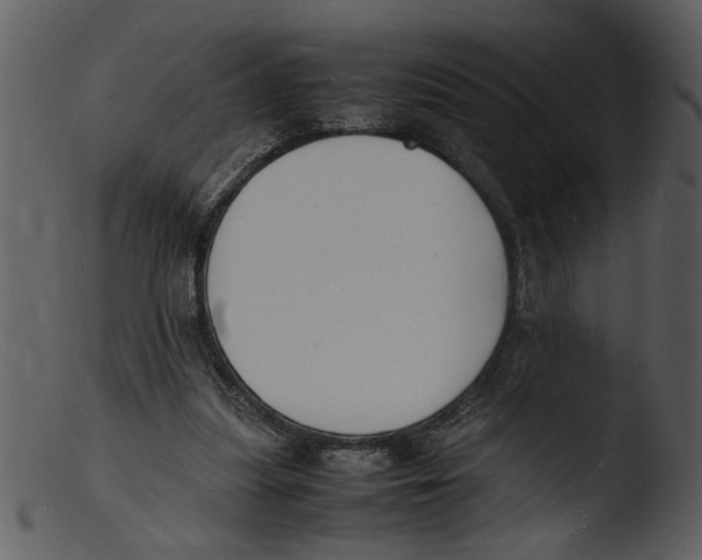 X0000103290251200809261256