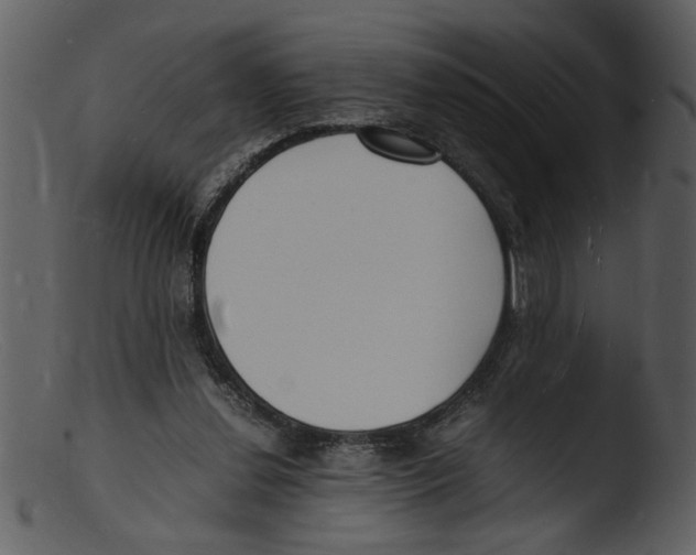 X0000103290252200809261256