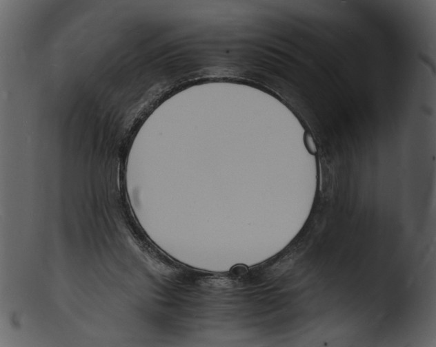 X0000103290253200809261256