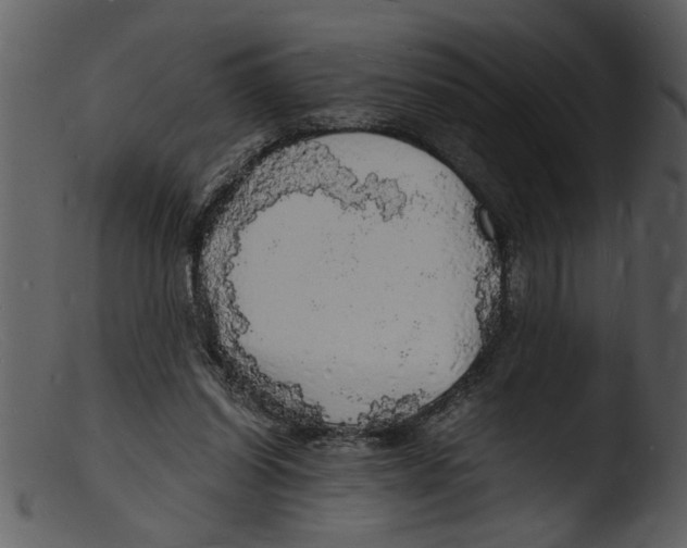X0000103290254200809261256
