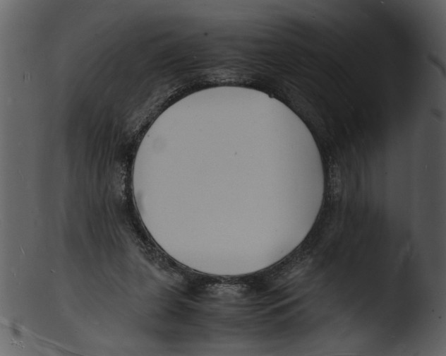 X0000103290255200809261256