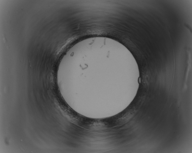 X0000103290256200809261256