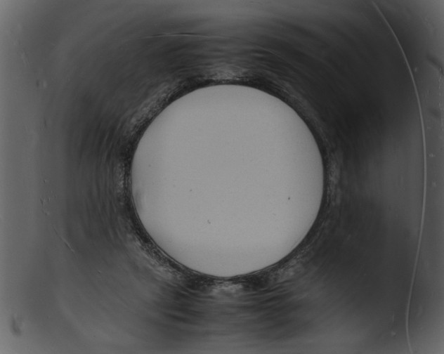 X0000103290257200809261256
