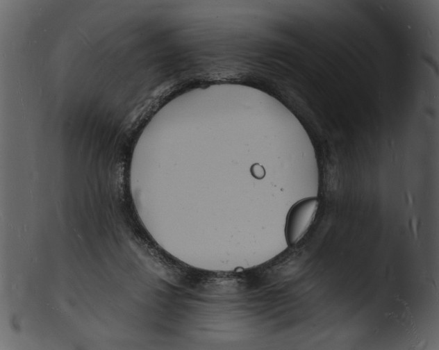 X0000103290260200809261256