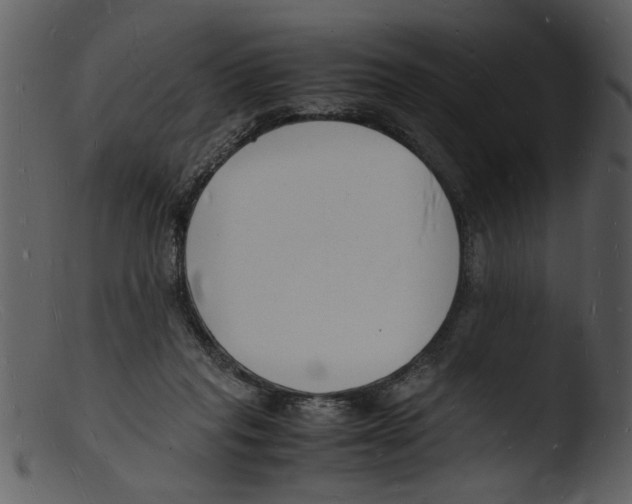 X0000103290261200809261256