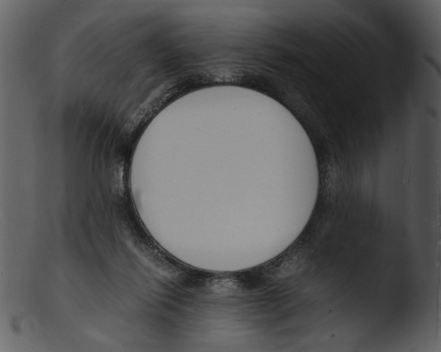 X0000103290262200809261256