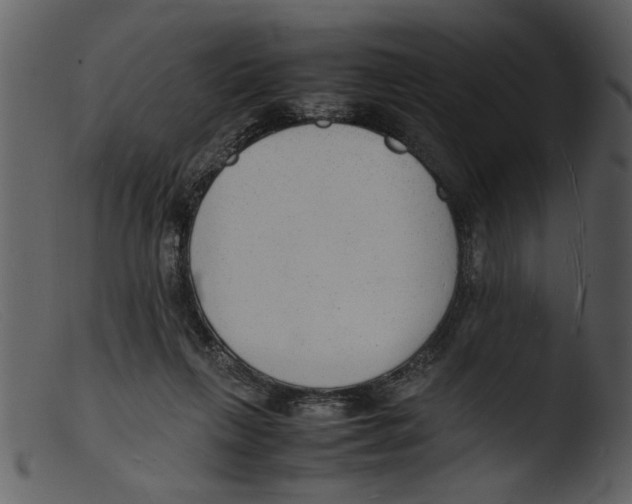 X0000103290263200809261256