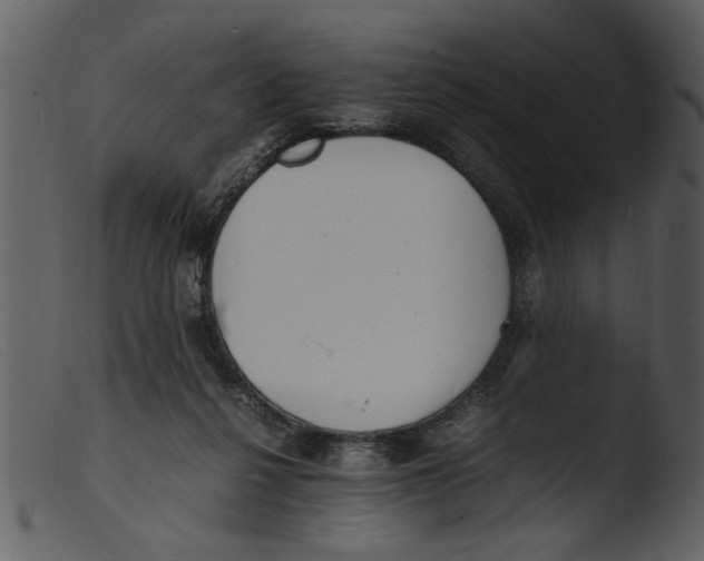 X0000103290264200809261256