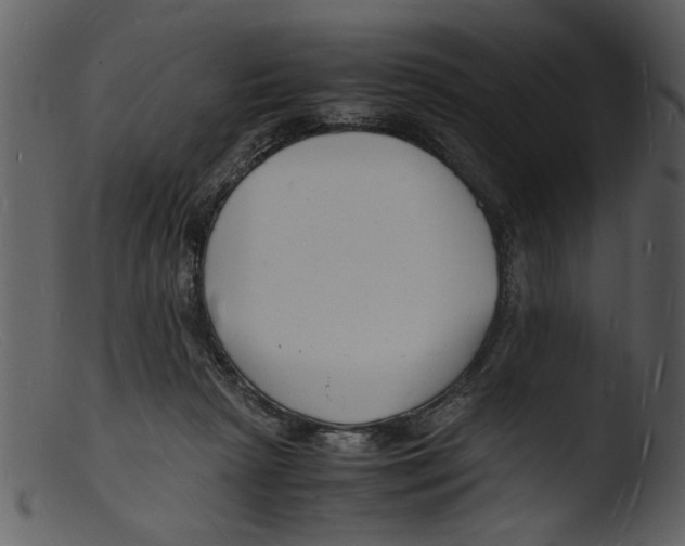 X0000103290265200809261256