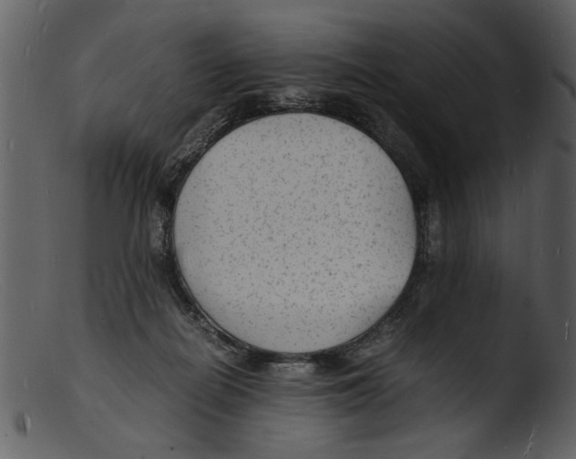 X0000103290266200809261256