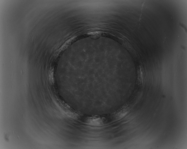 X0000103290267200809261256