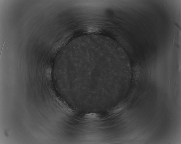X0000103290269200809261256