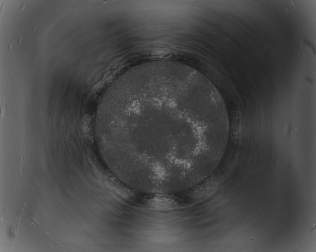X0000103290270200809261256