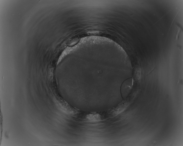 X0000103290271200809261256