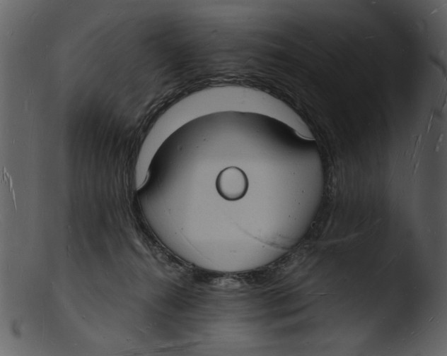 X0000103290272200809261256