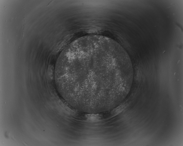 X0000103290273200809261256