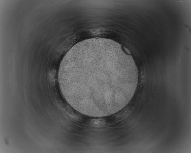 X0000103290275200809261256