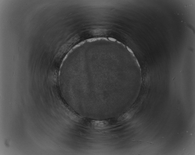 X0000103290277200809261256