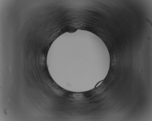 X0000103290279200809261256