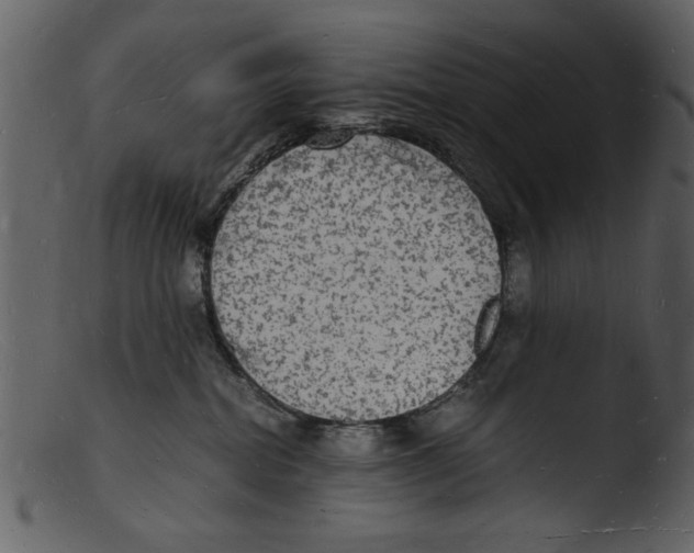 X0000103290282200809261256