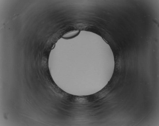 X0000103290283200809261256
