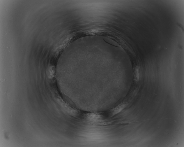 X0000103290284200809261256