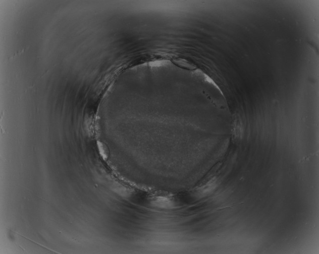 X0000103290285200809261256