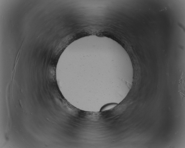 X0000103290288200809261257