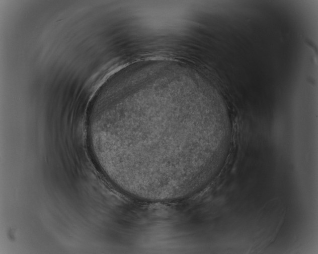 X0000103290290200809261256