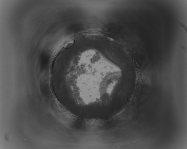 X0000103290293200809261256