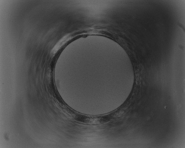 X0000103290295200809261256