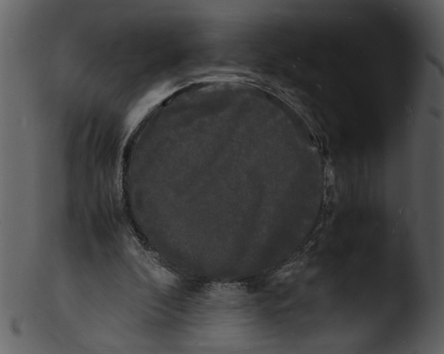 X0000103290296200809261256
