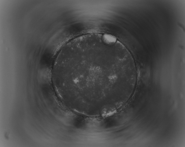 X0000103290297200809261256