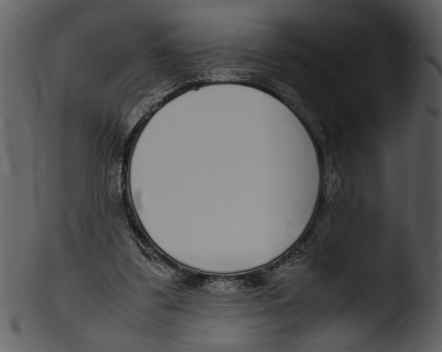 X0000103290299200809261256