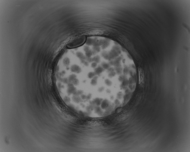 X0000103290300200809261256