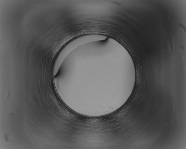 X0000103290301200809261256