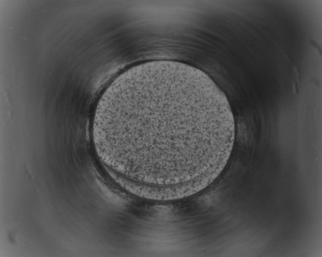 X0000103290302200809261256