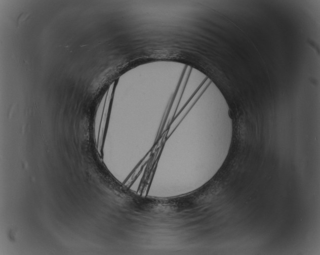 X0000103290303200809261256