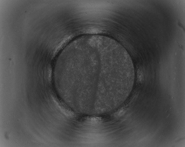 X0000103290304200809261255