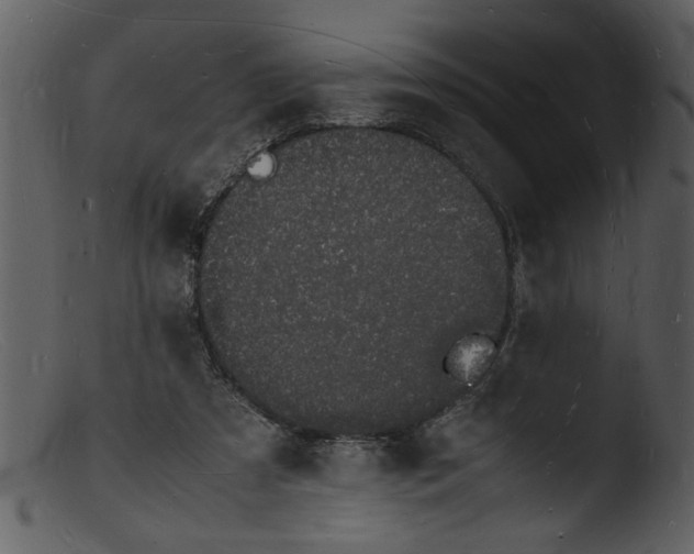 X0000103290305200809261255
