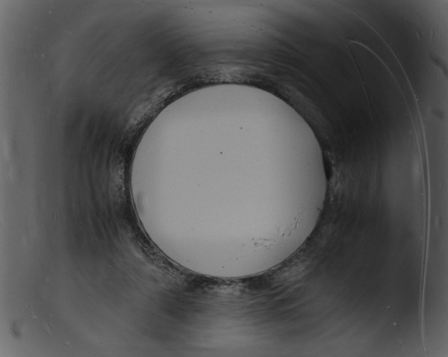 X0000103290306200809261255