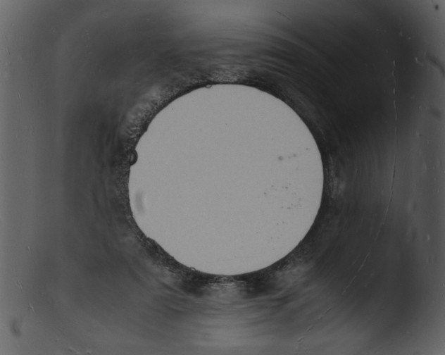 X0000103290307200809261255
