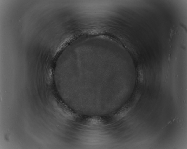 X0000103290308200809261255