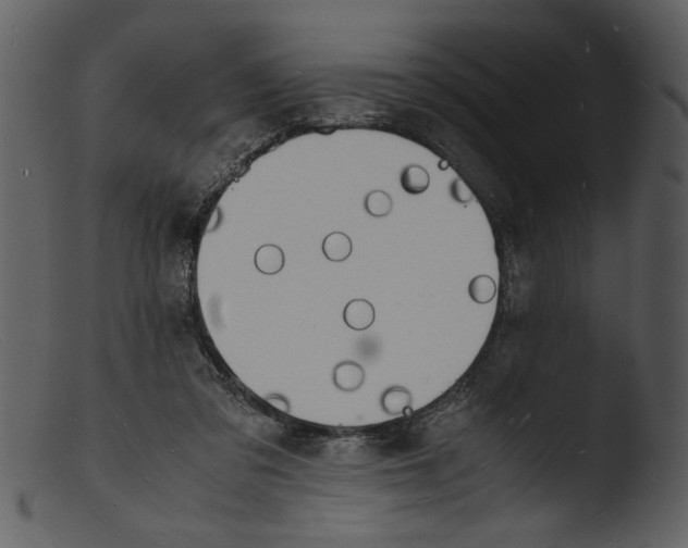 X0000103290309200809261255