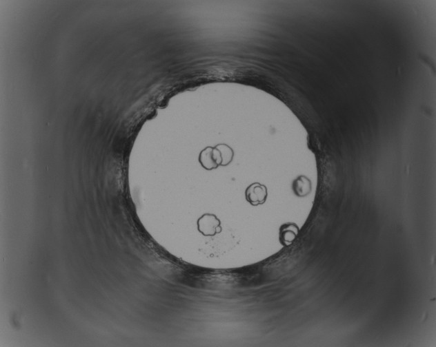 X0000103290313200809261255