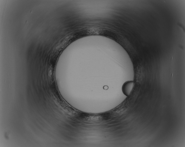 X0000103290314200809261255