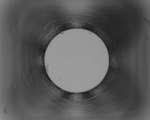 X0000103290317200809261255