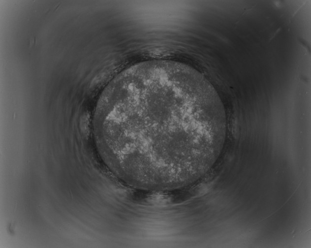 X0000103290319200809261255