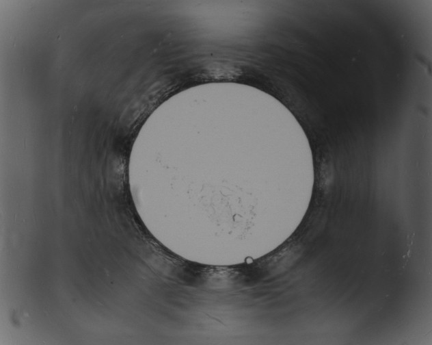 X0000103290321200809261255