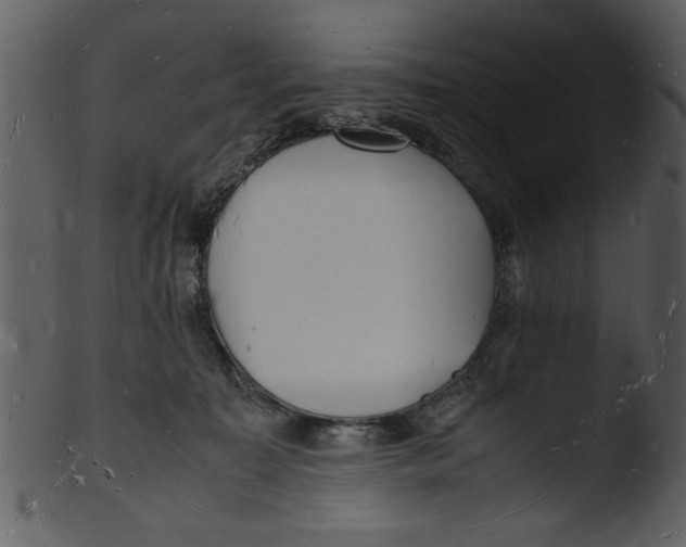 X0000103290323200809261255